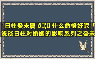 日柱癸未属 🦟 什么命格好呢「浅谈日柱对婚姻的影响系列之癸未」